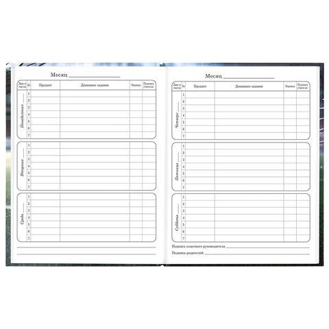 Дневник 1-4 класс 48 л., твердый, ЮНЛАНДИЯ, глянцевая ламинация, с подсказом, "Футбол", 107583