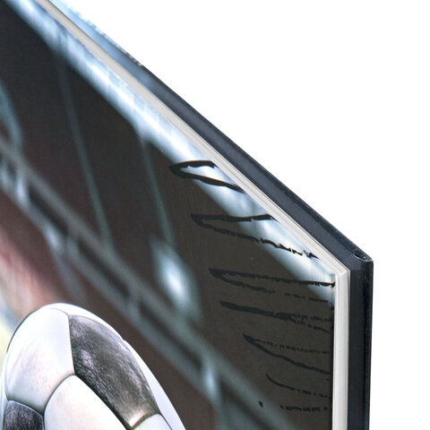 Дневник 1-4 класс 48 л., твердый, ЮНЛАНДИЯ, глянцевая ламинация, с подсказом, "Футбол", 107583