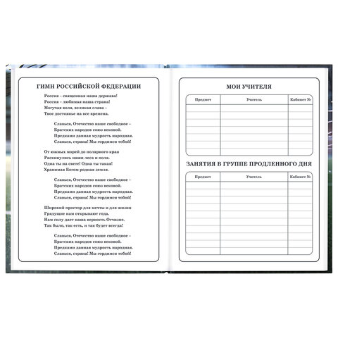 Дневник 1-4 класс 48 л., твердый, ЮНЛАНДИЯ, глянцевая ламинация, с подсказом, "Футбол", 107583