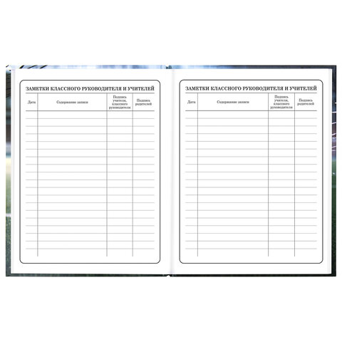 Дневник 1-4 класс 48 л., твердый, ЮНЛАНДИЯ, глянцевая ламинация, с подсказом, "Футбол", 107583