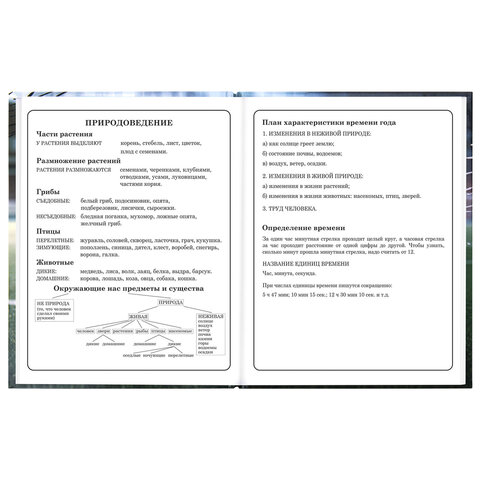 Дневник 1-4 класс 48 л., твердый, ЮНЛАНДИЯ, глянцевая ламинация, с подсказом, "Футбол", 107583