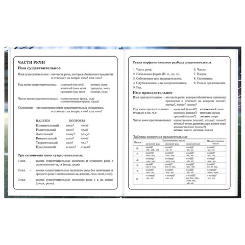 Дневник 1-4 класс 48 л., твердый, ЮНЛАНДИЯ, глянцевая ламинация, с подсказом, "Футбол", 107583