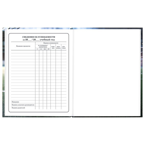 Дневник 1-4 класс 48 л., твердый, ЮНЛАНДИЯ, глянцевая ламинация, с подсказом, "Футбол", 107583