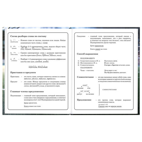 Дневник 1-4 класс 48 л., твердый, ЮНЛАНДИЯ, глянцевая ламинация, с подсказом, "Футбол", 107583