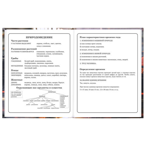 Дневник 1-4 класс 48 л., твердый, ЮНЛАНДИЯ, глянцевая ламинация, с подсказом, "Авто", 107584