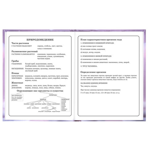 Дневник 1-4 класс 48 л., твердый, BRAUBERG, глянцевая ламинация, с подсказом, "Единорог", 107588