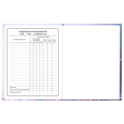 Дневник 1-4 класс 48 л., твердый, BRAUBERG, глянцевая ламинация, с подсказом, "Princess", 107590