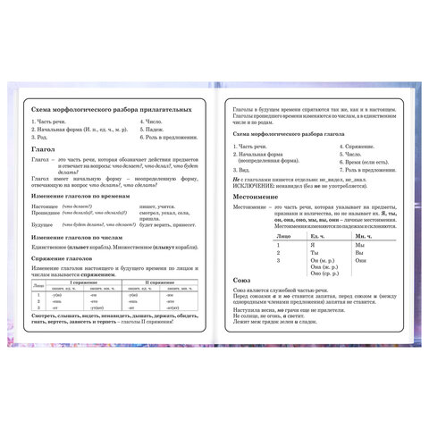 Дневник 1-4 класс 48 л., твердый, BRAUBERG, глянцевая ламинация, с подсказом, "Princess", 107590