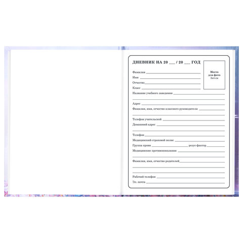 Дневник 1-4 класс 48 л., твердый, BRAUBERG, глянцевая ламинация, с подсказом, "Princess", 107590
