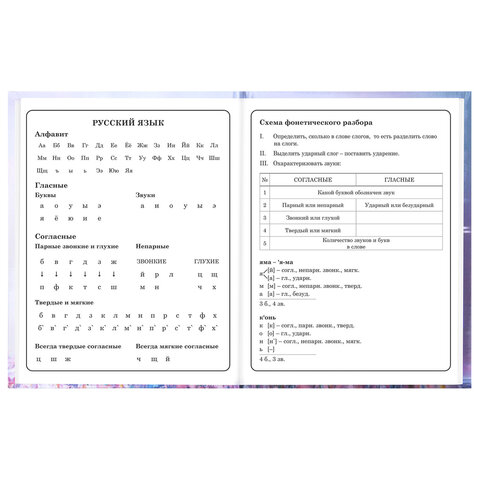 Дневник 1-4 класс 48 л., твердый, BRAUBERG, глянцевая ламинация, с подсказом, "Princess", 107590