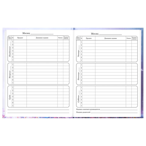 Дневник 1-4 класс 48 л., твердый, BRAUBERG, глянцевая ламинация, с подсказом, "Princess", 107590