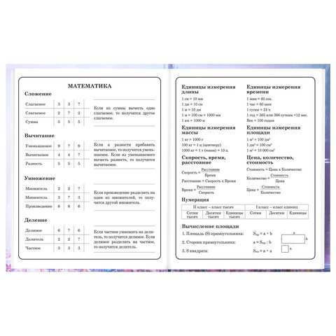 Дневник 1-4 класс 48 л., твердый, BRAUBERG, глянцевая ламинация, с подсказом, "Princess", 107590