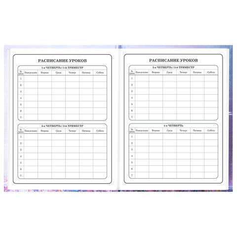 Дневник 1-4 класс 48 л., твердый, BRAUBERG, глянцевая ламинация, с подсказом, "Princess", 107590