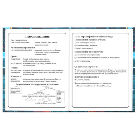 Дневник 1-4 класс 48 л., твердый, BRAUBERG, выборочный лак, с подсказом, "Крутой байк", 107592
