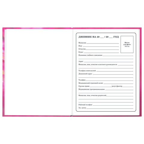 Дневник 1-4 класс 48 л., твердый, ЮНЛАНДИЯ, выборочный лак, с подсказом, "Панда", 107597