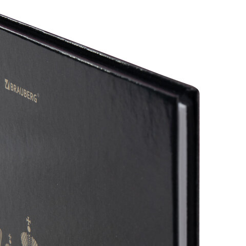 Дневник 1-11 класс 40 л., твердый, BRAUBERG, глянцевая ламинация, "Герб", 107598 - фото 4