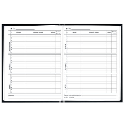 Дневник 1-11 класс 40 л., твердый, BRAUBERG, глянцевая ламинация, "Герб", 107598 - фото 8