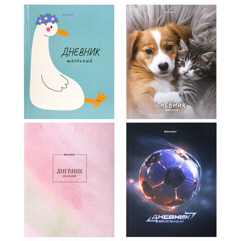 Дневник 5-11 класс 48 л., твердый, BRAUBERG, глянцевая ламинация, с подсказом, "МИКС", 107612