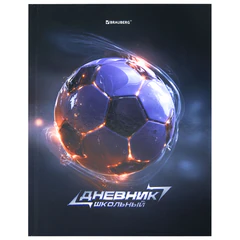 Дневник 5-11 класс 48 л., твердый, BRAUBERG, глянцевая ламинация, с подсказом, "МИКС", 107612