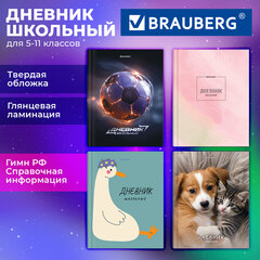 Дневник 5-11 класс 48 л., твердый, BRAUBERG, глянцевая ламинация, с подсказом, "МИКС", 107612