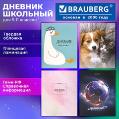 Дневник 5-11 класс 48 л., твердый, BRAUBERG, глянцевая ламинация, с подсказом, "МИКС", 107612