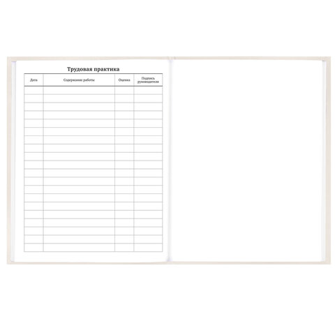 Дневник 5-11 класс 48 л., твердый, BRAUBERG, выборочный лак, с подсказом, "Кот-Непоседа", 107616 - фото 16