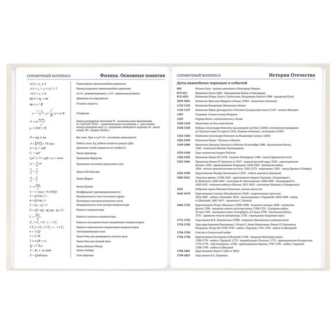 Дневник 5-11 класс 48 л., твердый, BRAUBERG, выборочный лак, с подсказом, "Кот-Непоседа", 107616 - фото 13
