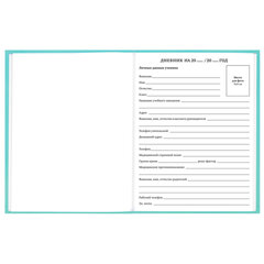 Дневник 5-11 класс 48 л., твердый, FUNSTER (ФАНСТЕР), выборочный лак, с подсказом, &laquo;Мемные коты&raquo;, 107617