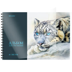 Альбомы для рисования ДЭК, пластиковая обложка, А4, 40 л., КОМПЛЕКТ 2 шт., гребень, BRAUBERG, 210&times;297 мм, &laquo;Хищники&raquo;, 107680