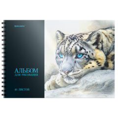 Альбомы для рисования ДЭК, пластиковая обложка, А4, 40 л., КОМПЛЕКТ 2 шт., гребень, BRAUBERG, 210&times;297 мм, &laquo;Хищники&raquo;, 107680