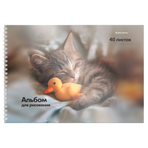 Альбом для рисования, пластиковая обложка, А4, 40 л., гребень, BRAUBERG, 210х297 мм, АССОРТИ-1 (8 видов), 107682 - фото 15