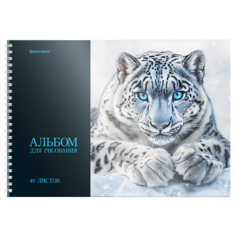 Альбом для рисования, пластиковая обложка, А4, 40 л., гребень, BRAUBERG, 210х297 мм, АССОРТИ-1 (8 видов), 107682 - фото 17