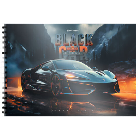 Альбом для рисования, пластиковая обложка, А4, 40 л., гребень, BRAUBERG, 210х297 мм, АССОРТИ-1 (8 видов), 107682 - фото 13