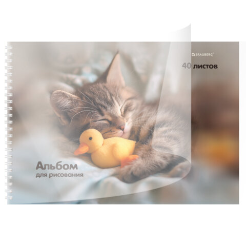 Альбом для рисования, пластиковая обложка, А4, 40 л., гребень, BRAUBERG, 210х297 мм, АССОРТИ-1 (8 видов), 107682 - фото 6