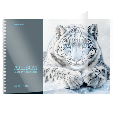 Альбом для рисования, пластиковая обложка, А4, 40 л., гребень, BRAUBERG, 210х297 мм, АССОРТИ-1 (8 видов), 107682 - фото 8