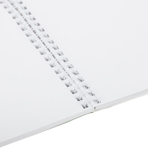 Альбом для рисования, пластиковая обложка, А4, 40 л., гребень, BRAUBERG, 210х297 мм, АССОРТИ-2 (8 видов), 107683 - фото 2