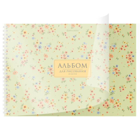 Альбом для рисования, пластиковая обложка, А4, 40 л., гребень, BRAUBERG, 210х297 мм, АССОРТИ-2 (8 видов), 107683 - фото 3