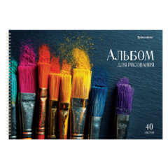 Альбомы для рисования ДЭК, А4, 40 л., КОМПЛЕКТ 2 шт., гребень, глянцевый лак, BRAUBERG, 200&times;290 мм, &laquo;Кисти&raquo;, 107735