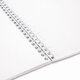 Альбомы для рисования ДЭК, А4, 40 л., КОМПЛЕКТ 2 шт., гребень, глянцевый лак, BRAUBERG, 200х290 мм, "Кисти", 107735