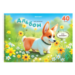 Альбомы для рисования ДЭК, А4, 40 л., КОМПЛЕКТ 2 шт., гребень, глянцевый лак, BRAUBERG, 200&times;290 мм, &laquo;Корги&raquo;, 107739