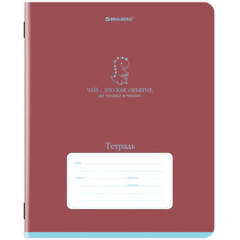 Тетрадь 12 л. BRAUBERG клетка, обложка картон, PHRASES, 107777