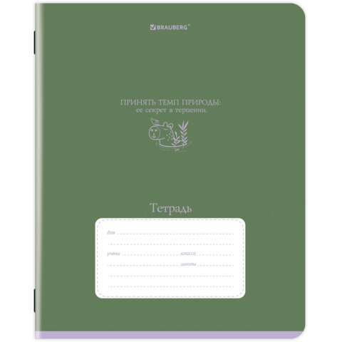 Тетрадь 12 л. BRAUBERG клетка, обложка картон, PHRASES, 107777