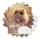 Тетрадь 12 л., клетка, обложка картон, ERICH KRAUSE, "Fluffy" (микс в спайке), 63248
