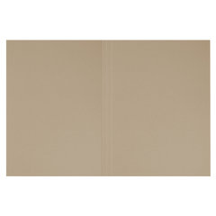 Папка без скоросшивателя &laquo;Дело&raquo;, картон мелованный, плотность 440 г/<wbr/>м<sup>2</sup>, до 200 листов, BRAUBERG, 110928