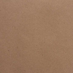 Скетчбук, крафт-бумага 80 г/<wbr/>м<sup>2</sup>, 205&times;290 мм, 50 л., гребень, жёсткая подложка, BRAUBERG ART DEBUT, 110982