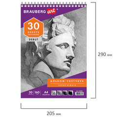 Скетчбук, белая бумага 160 г/<wbr/>м<sup>2</sup>, 205&times;290 мм, 30 л., гребень, жёсткая подложка, BRAUBERG ART DEBUT, 110985