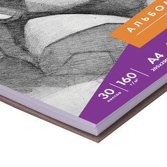 Скетчбук, белая бумага 160 г/<wbr/>м<sup>2</sup>, 205&times;290 мм, 30 л., гребень, жёсткая подложка, BRAUBERG ART DEBUT, 110985