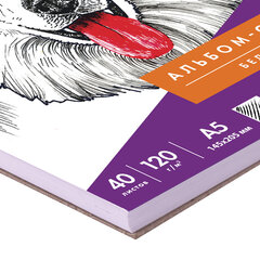 Скетчбук, белая бумага 120 г/<wbr/>м<sup>2</sup>, 145&times;205 мм, 40 л., гребень, жёсткая подложка, BRAUBERG ART DEBUT, 110988