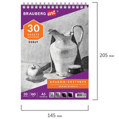 Скетчбук, белая бумага 160 г/<wbr/>м<sup>2</sup>, 145&times;205 мм, 30 л., гребень, жёсткая подложка, BRAUBERG ART DEBUT, 110989