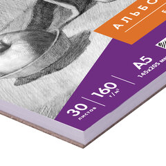 Скетчбук, белая бумага 160 г/<wbr/>м<sup>2</sup>, 145&times;205 мм, 30 л., гребень, жёсткая подложка, BRAUBERG ART DEBUT, 110989